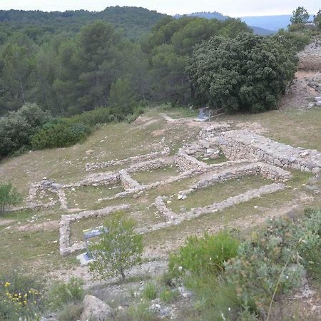 Domaine Shambala - Maison D'Hote En Provence - Piscine Chauffee Velaux Eksteriør bilde
