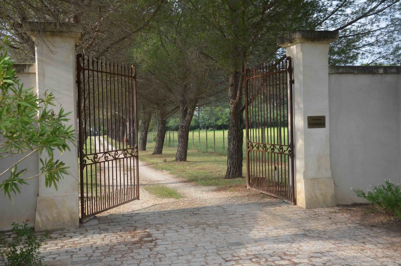 Domaine Shambala - Maison D'Hote En Provence - Piscine Chauffee Velaux Eksteriør bilde